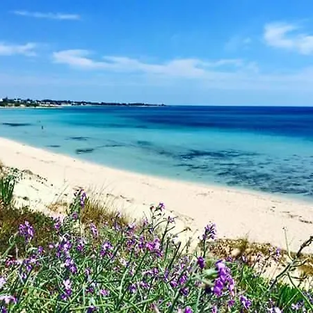 Salento Beach *